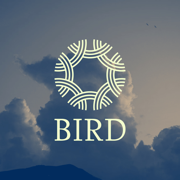 Bird 1
