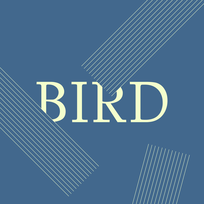 Bird 5