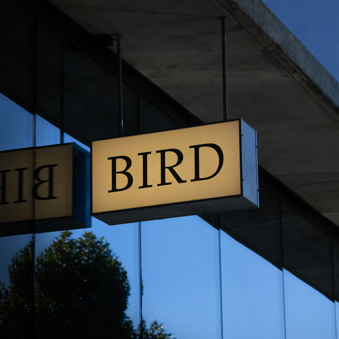 Bird 4