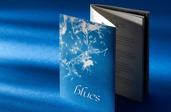 Blues exhibition catalogue 2