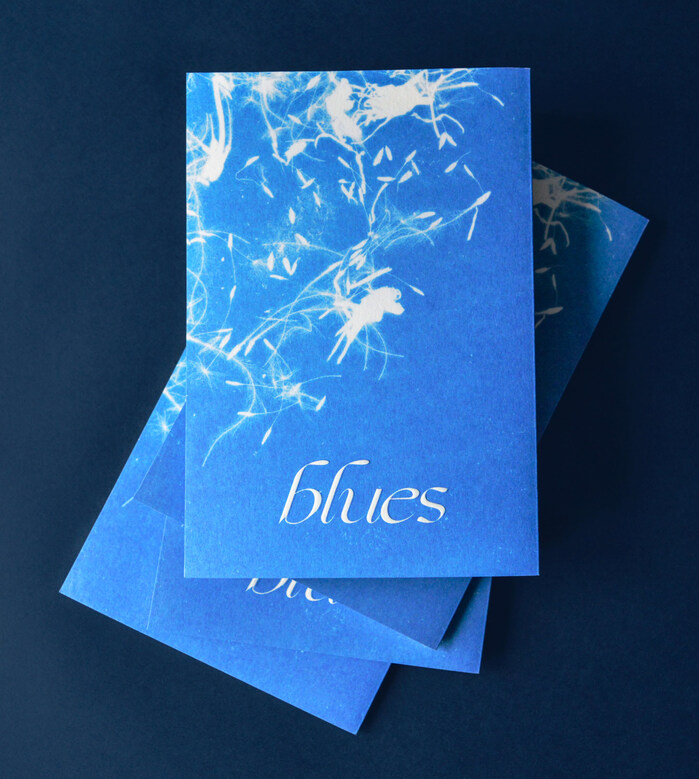 Blues exhibition catalogue 1