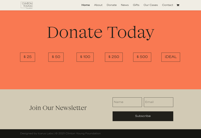 Clinton Young Foundation website 2
