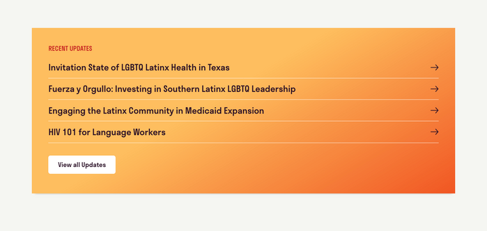 Latinos in the South website 4