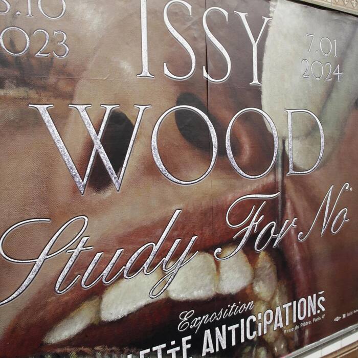 Issy Wood – Study For No at Lafayette Anticipations 4