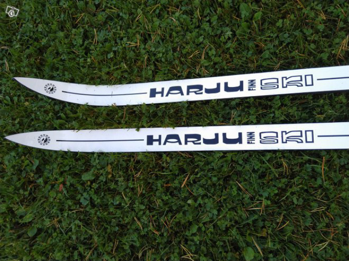 Harju Finn skis 4