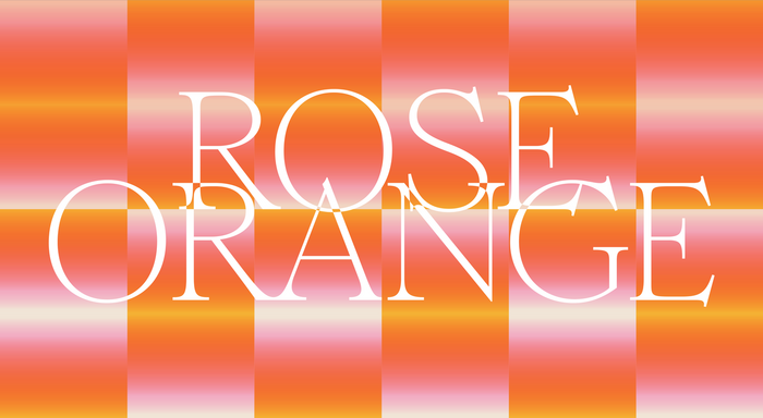 Rose Orange 2