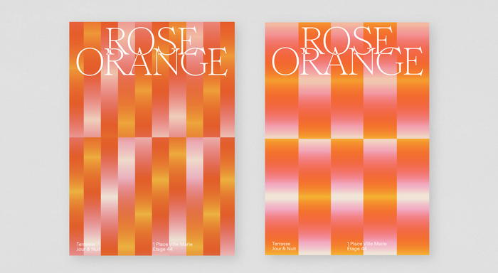 Rose Orange 3