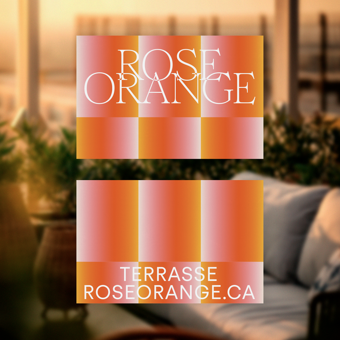 Rose Orange 1