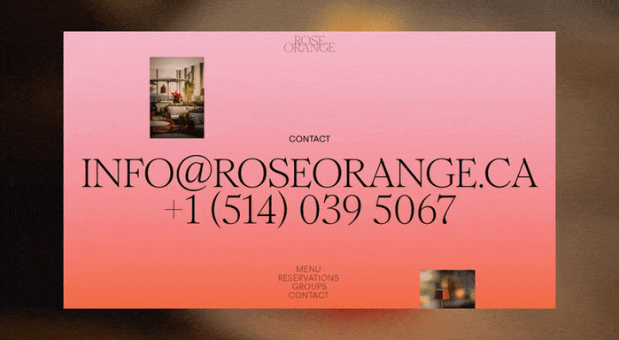 Rose Orange 6