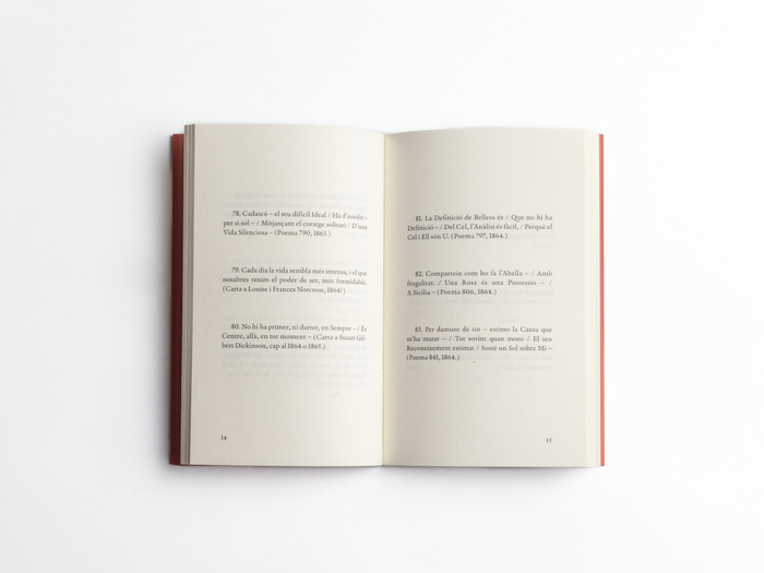 Fragments Flâneur book series 1