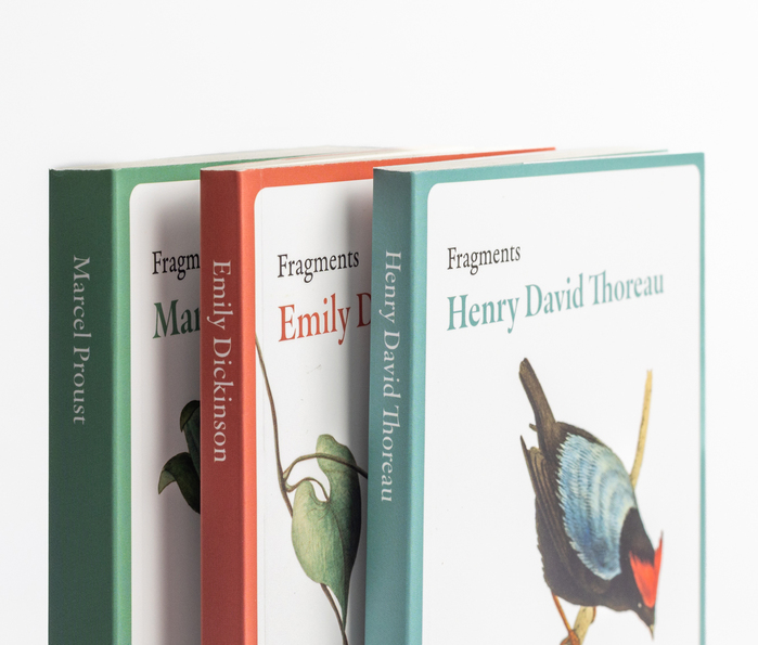 Fragments Flâneur book series 4