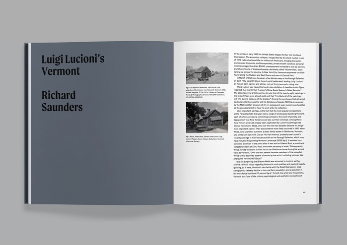 Luigi Lucioni: Modern Light monograph 6