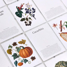 Raffles London menu cards