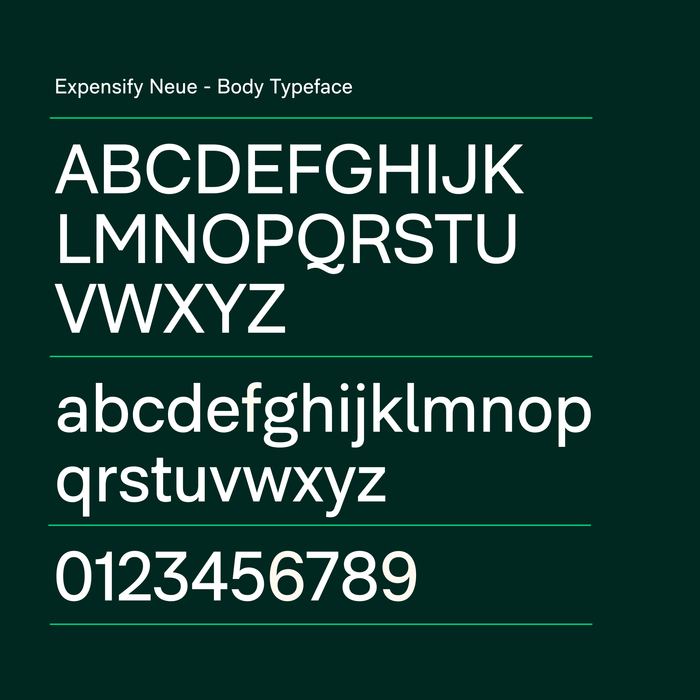 Sample of Expensify Neue