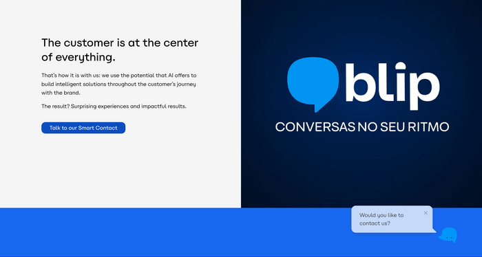 Detail of the English-language website