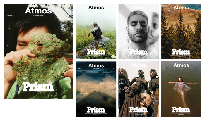 An overview of the cover variants