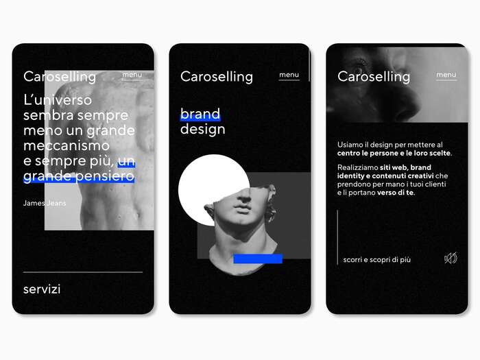 Caroselling website 5