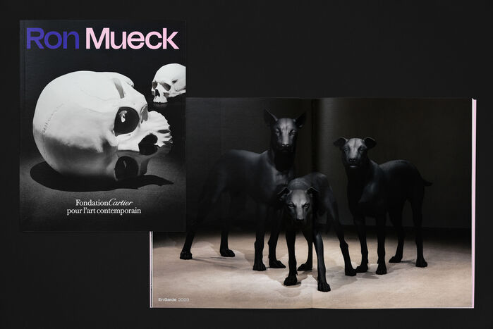 Ron Mueck exhibition, Fondation Cartier 4
