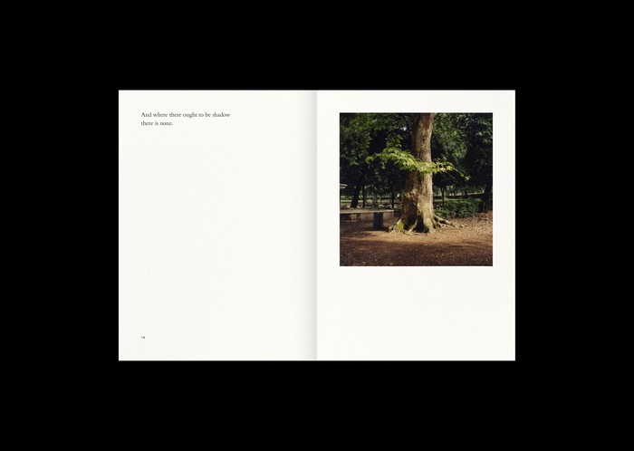 Roma by Toby Glanville 5