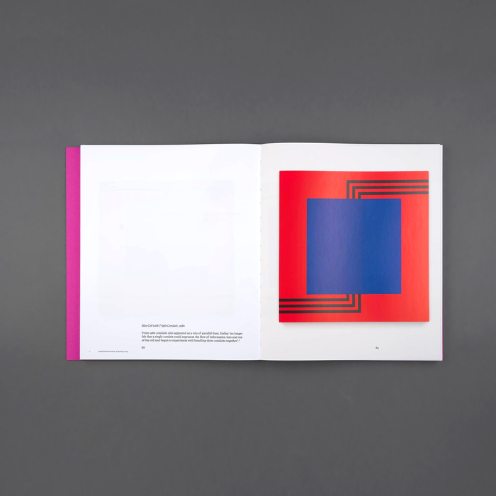 Conduits: Paintings from the 1980s by Peter Halley 2