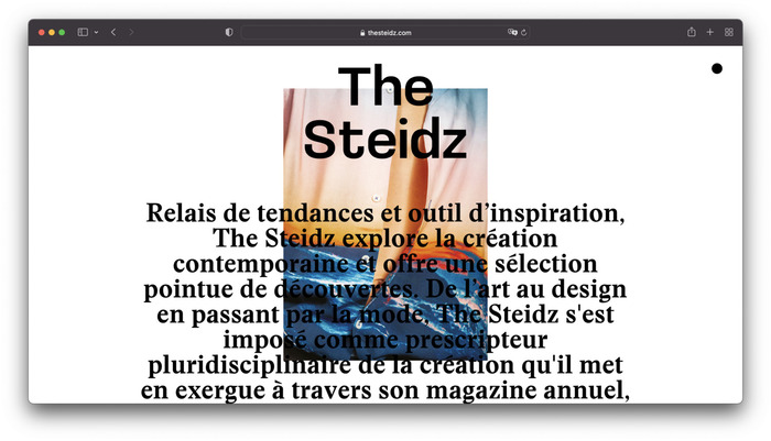 The Steidz magazine and website 2