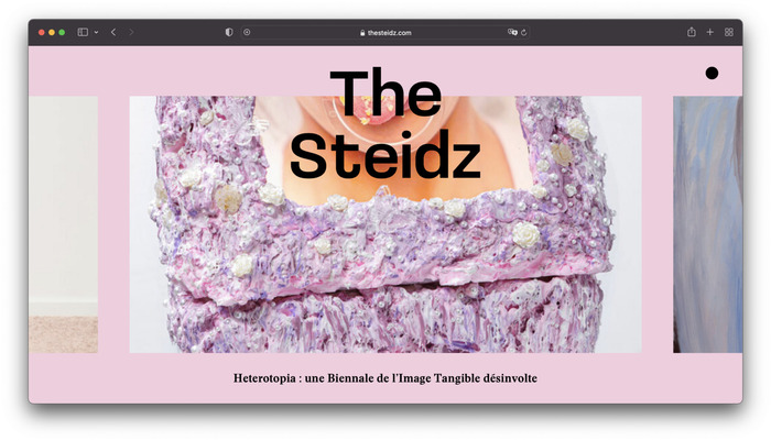 The Steidz magazine and website 5