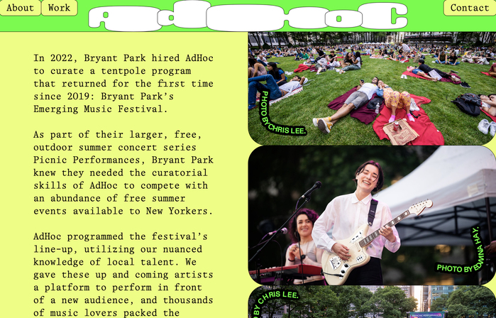 AdHoc identity and website 3