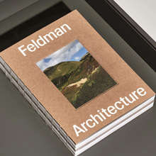 Feldman Architecture identity