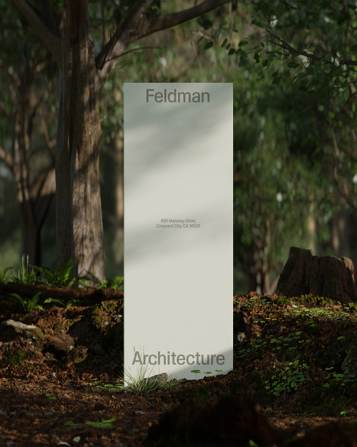 Feldman Architecture identity 20