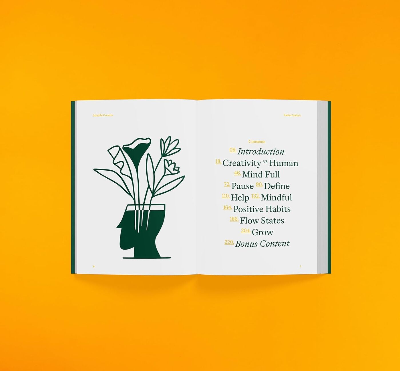 Creativity for Sale and Mindful Creative by Radim Malinic