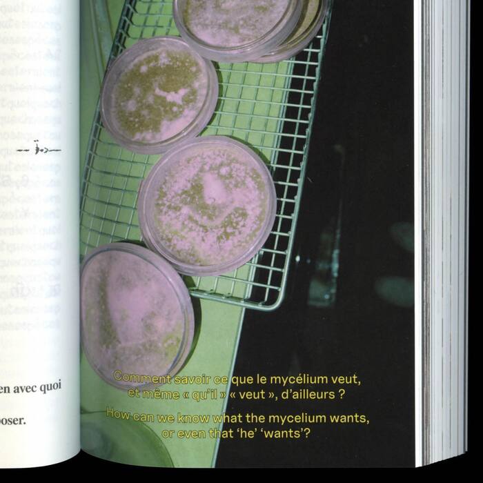 In Vivo, Demeurer en mycélium / Living in Mycelium 4