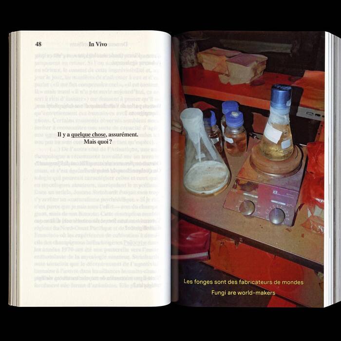 In Vivo, Demeurer en mycélium / Living in Mycelium 6