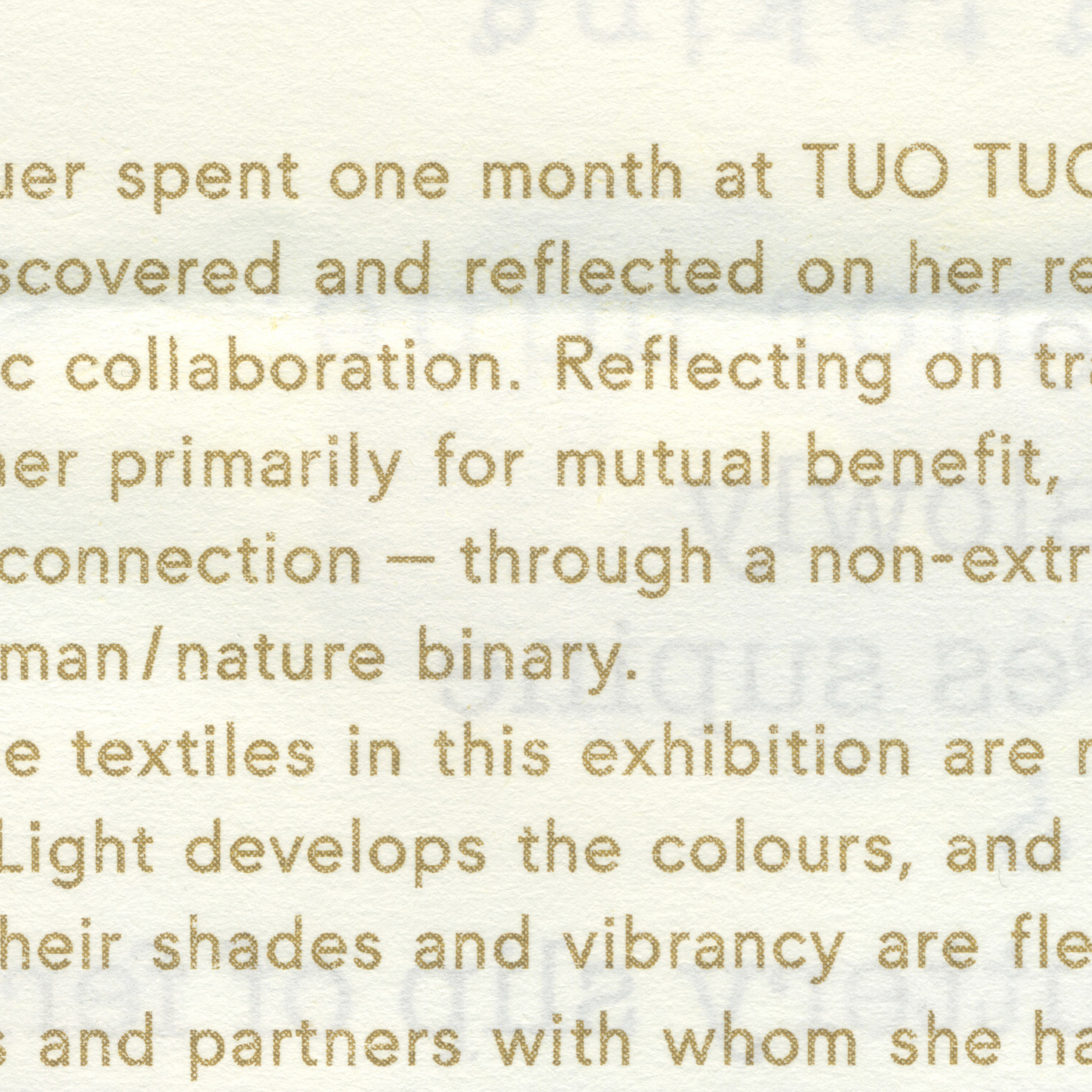 Bettina Willnauer – After Weeks of Yellow (I found a Friend...) exhibition
