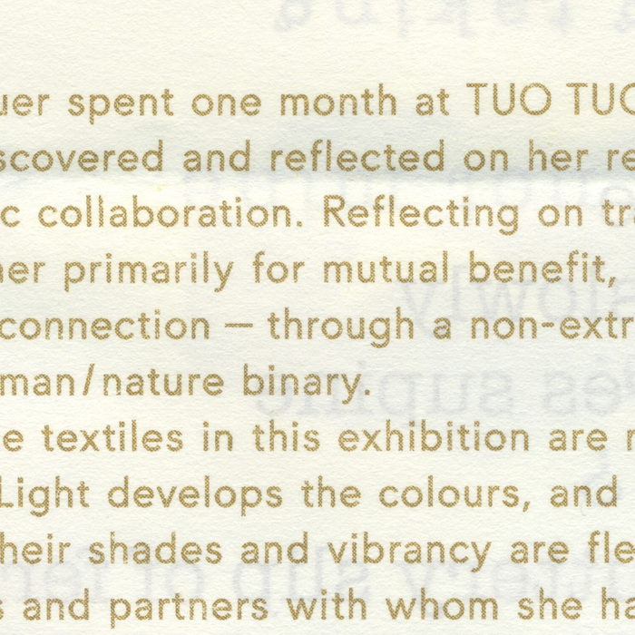 Bettina Willnauer – After Weeks of Yellow (I found a Friend...) exhibition 3
