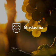 Moslavina website and identity