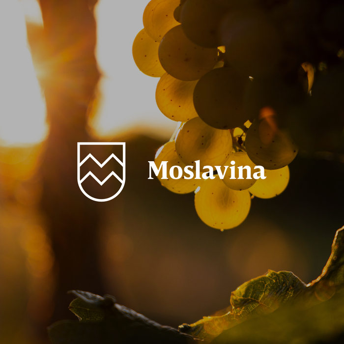 Moslavina website and identity 1