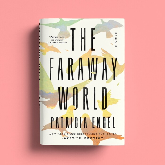 The Faraway World by Patricia Engel 1