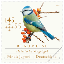 Youth Stamps 2013: Native Songbirds