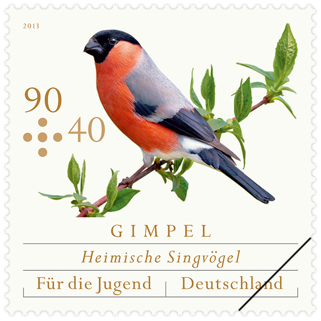 Bullfinch