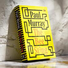 <cite>The Bee Sting </cite>by Paul Murray