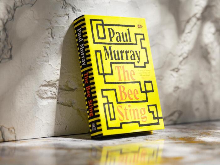 The Bee Sting by Paul Murray 1