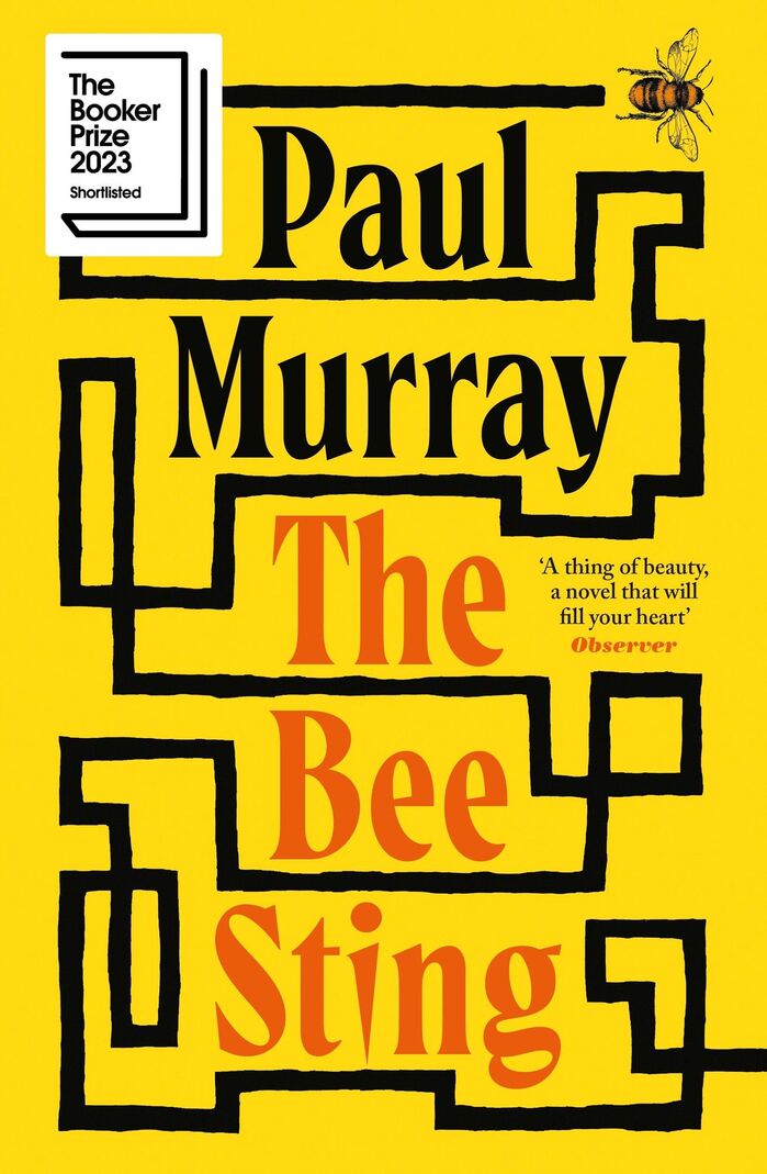 The Bee Sting by Paul Murray 2