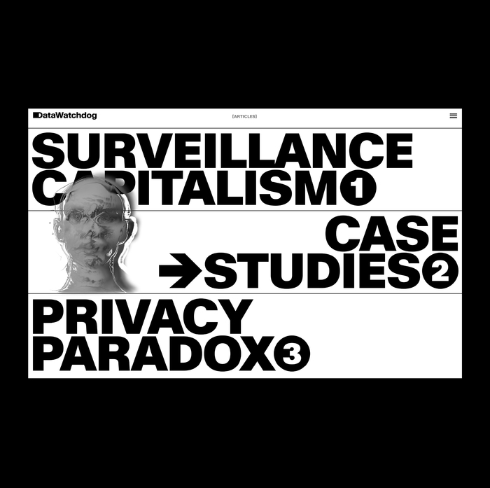 DataWatchdog website 3