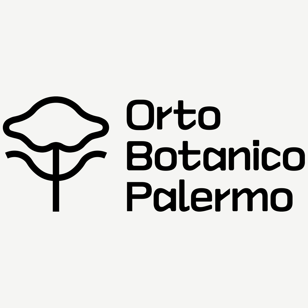 Orto Botanico di Palermo (student work) 1