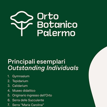 Orto Botanico di Palermo (student work)