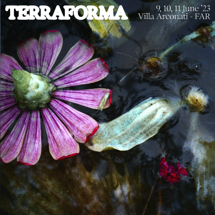 Terraforma Festival 2023 3