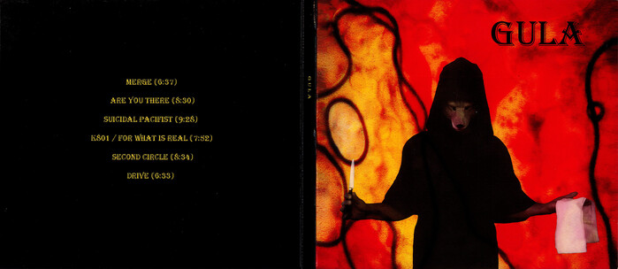 Outside of the digipak showing the back, spine, and front