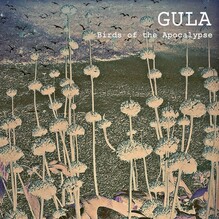 Gula – <cite>Birds of the Apocalypse</cite> album art