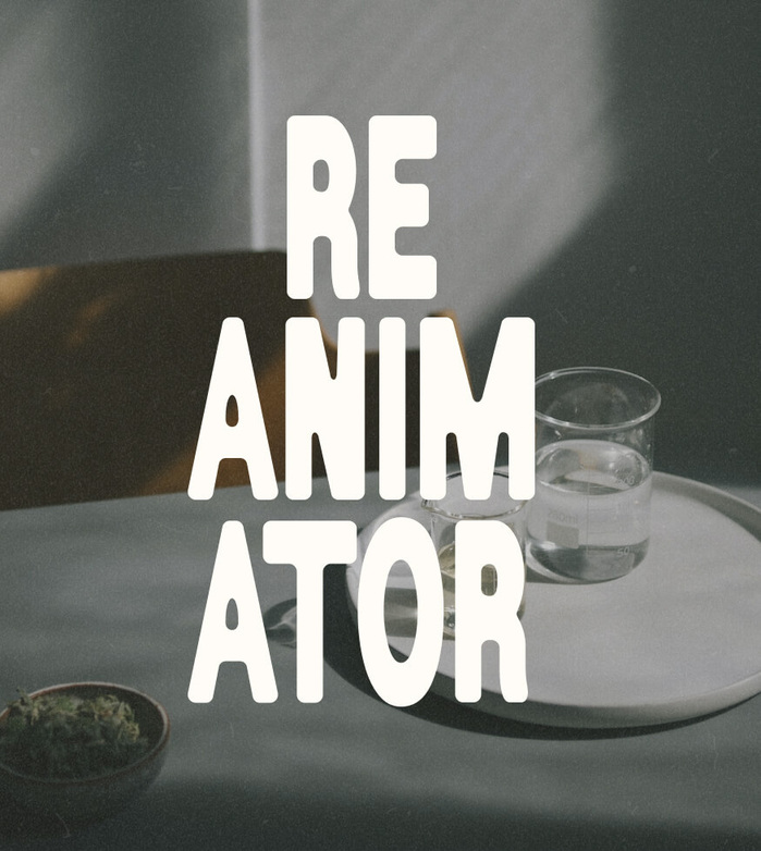 ReAnimator Coffee Roasters 7