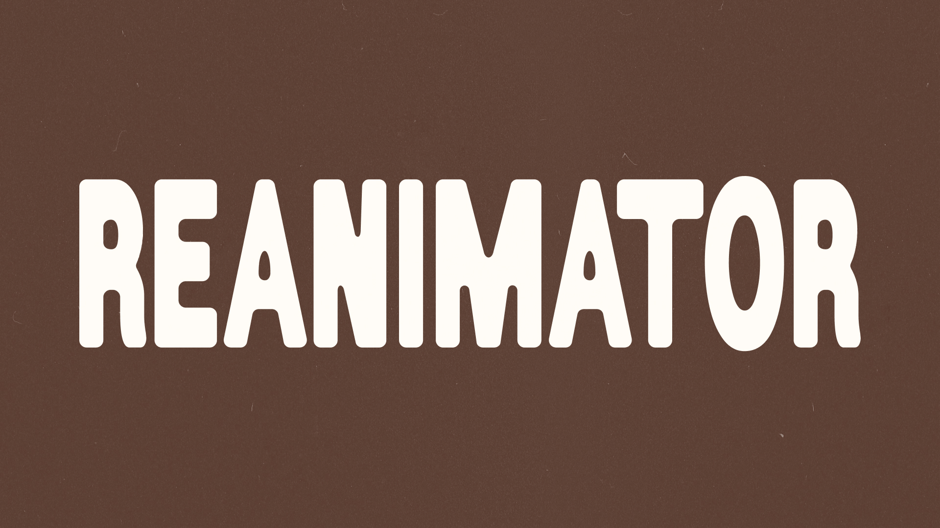 ReAnimator Coffee Roasters 14